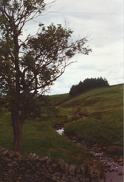 File:Scur Beck - geograph.org.uk - 4245546.jpg