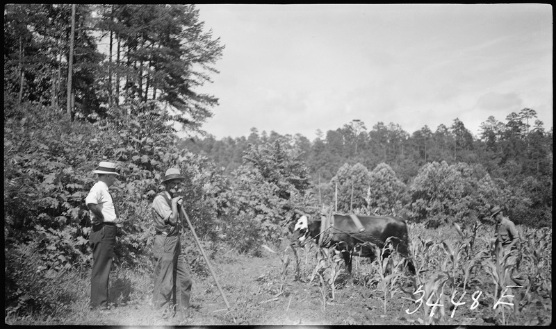 File:Seabolt, W.P. and Aaron., home - NARA - 280335.tif