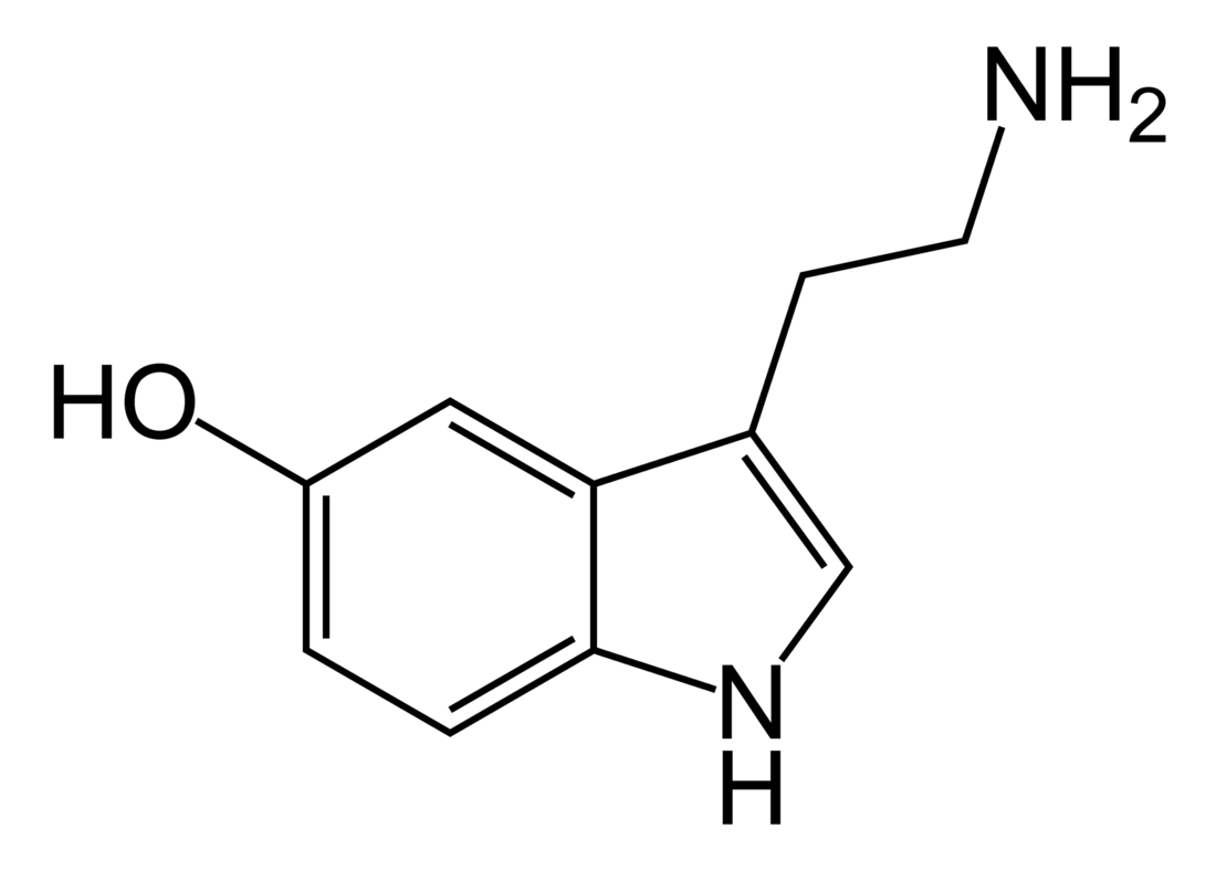 Szerotonin