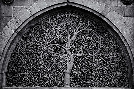 Sidi Saiyed Mosque window