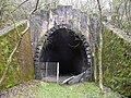 image=https://commons.wikimedia.org/wiki/File:Silwinger_Tunnel_NO.jpg