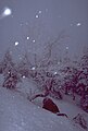 Near top of mount Brocken in snow storm