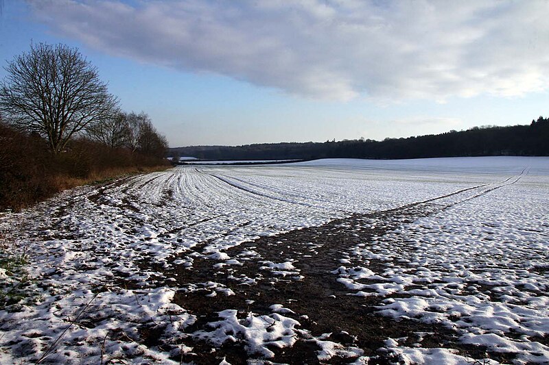 File:Snow covered field at Hampden Bottom - geograph.org.uk - 3297268.jpg