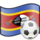 Icône de footballeurs du Swaziland
