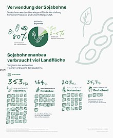 Sojabohne Ackerflächenverbrauch und Verwendung als Infografik