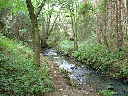 South Burn, Waldridge Fell South Burn, Waldridge Fell.jpg