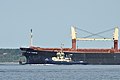 English: Bulk carrier Star Canopus with tugboat Svitzer Mjølner near Fredericia.