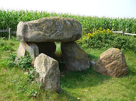 Steinahlkenheide Steingrab4