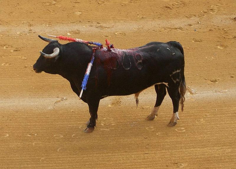 Banderilla (tauromaquia) - Wikipedia, la enciclopedia libre