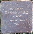 image=File:Stolperstein-oldersum-herz-siegfried.jpg