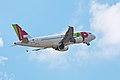TAP Portugal Airbus A319 CS-TTB.jpg