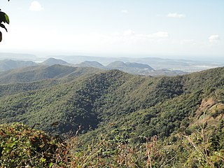 <span class="mw-page-title-main">Susúa State Forest</span>