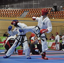 Taekwondo K.jpg