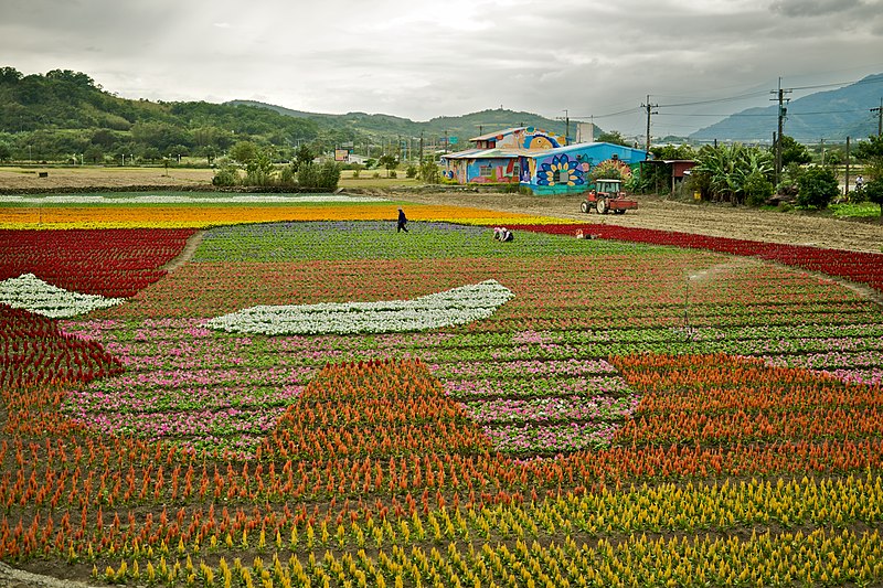 File:Taiwan 2009 FuLi Town Paint with Flowers FRD 8103.jpg