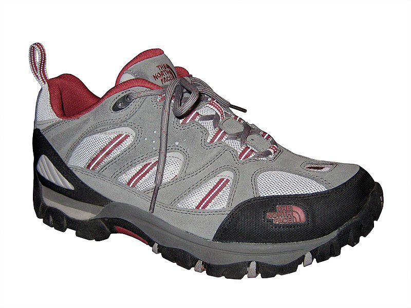 File:The North Face shoe.jpg
