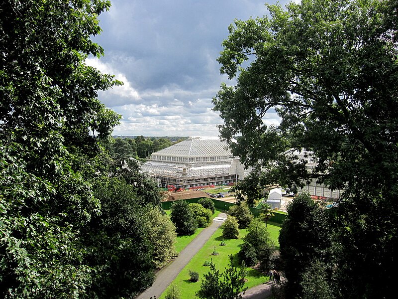 File:The Temperate House from the treetop walkway, Royal Botanic Gardens, Kew - geograph.org.uk - 5532406.jpg