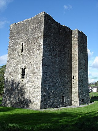 <span class="mw-page-title-main">Threecastles Castle</span> Irish National Monument - castle in County Wicklow