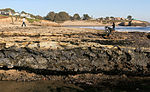 Thumbnail for Natural Bridges State Marine Reserve