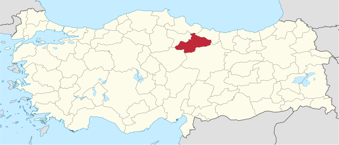 Tokat (circonscription électorale)