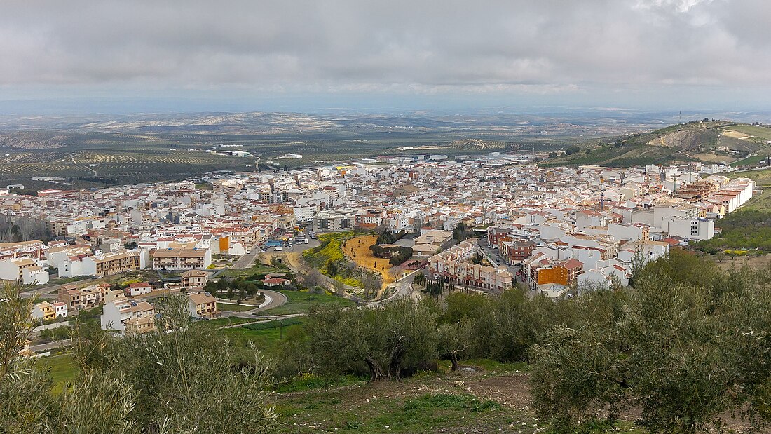 Torredelcampo