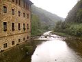 Italiano: Il torrente Pescia all'altezza di San Lorenzo, a Nord della cittadina