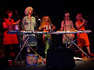 <span class="mw-page-title-main">Toychestra</span> American experimental music group