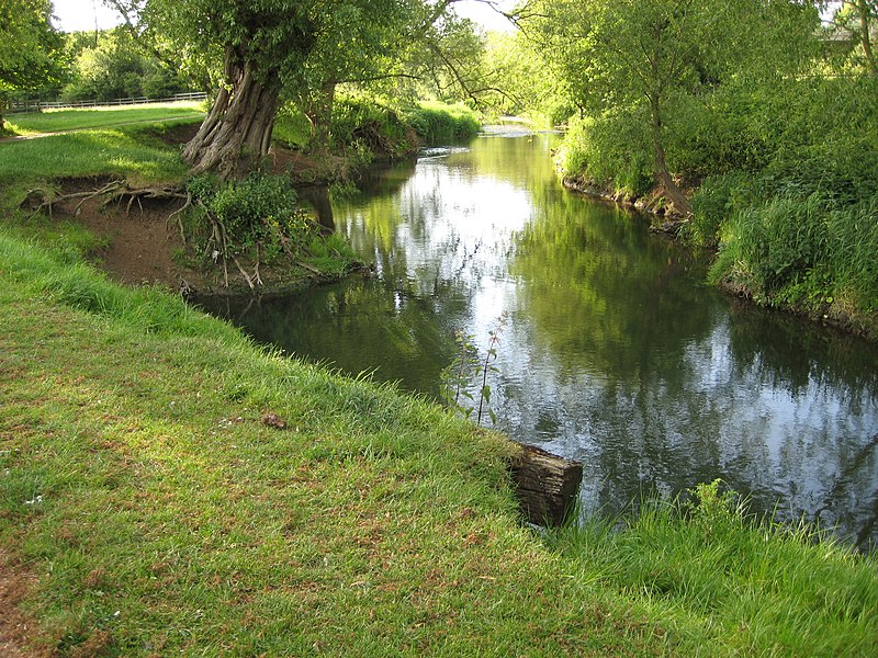 File:Tree by the Ouzel - geograph.org.uk - 2827742.jpg