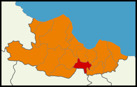 Fail:Turkish Local Elections 2014 Samsun Map (Blank2).png