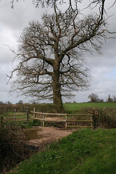 File:Twin Bridges - geograph.org.uk - 747232.jpg