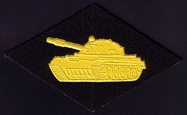 Нагрудный знак на комбинезон танковые войска СВ ВС СССР.