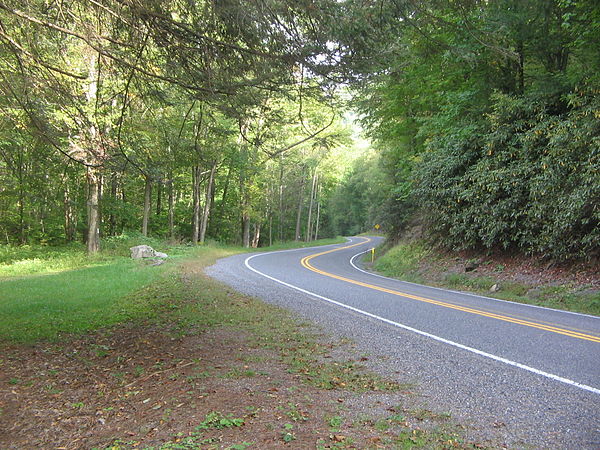 Pennsylvania Route 44 passes through the park, and was the scene of a wildfire in 1894.