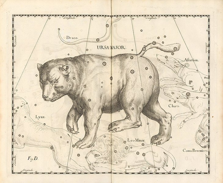 File:Ursa Major constellation - Johannes Hevelius - 1690.jpg