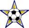 Uruguayan Football Barnstar.png