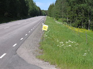 <span class="mw-page-title-main">Vätternrundan</span> Bicycle race in Sweden