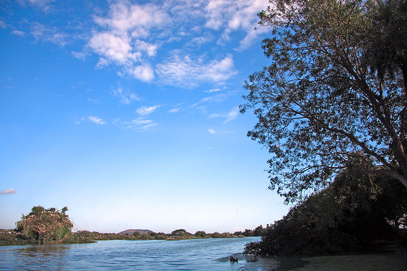 File:Vedanthangal Landscape.jpg