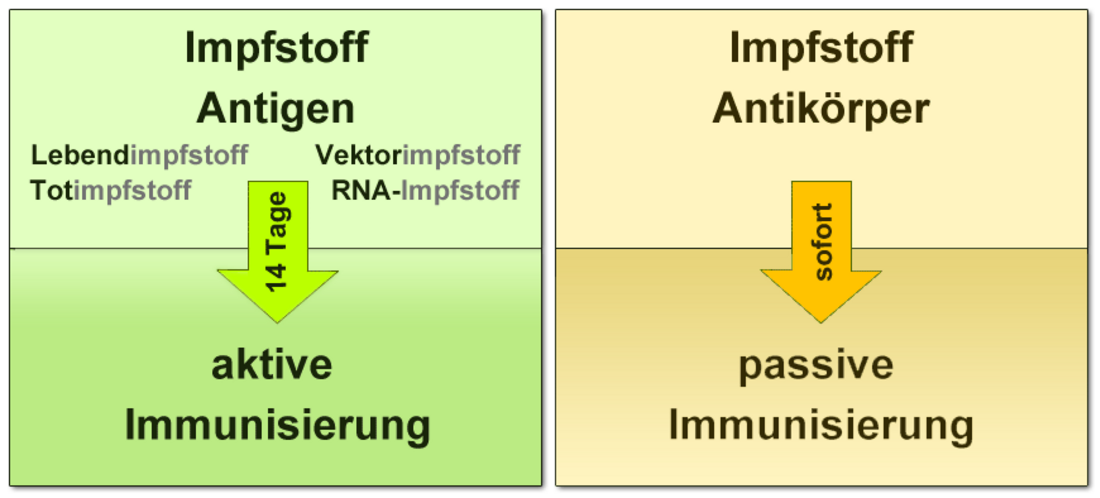 File:Vergleich aktive und passive Immunisierung.png