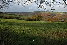 Lihat lebih Woodchester Park - geograph.org.inggris - 1044092.jpg