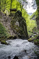 Каньйон річки Ростушка біля водоспаду