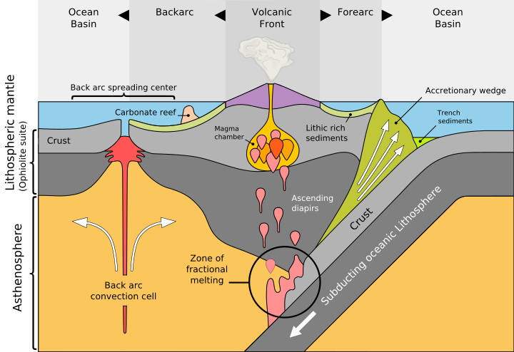 Plate tectonics diagram showing convergence of an oceanic plate and a continental plate. Note the back-arc basin, forearc basin, and oceanic basin.