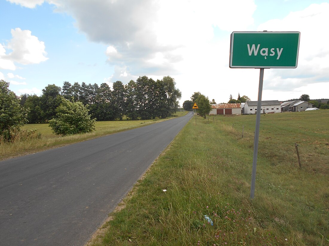 Wąsy (województwo mazowieckie)