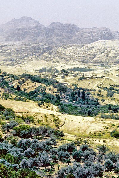 File:Wadi Musa 1987 02.jpg