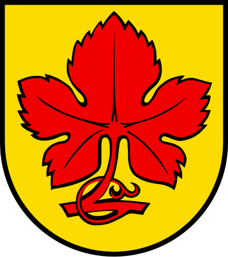 Wappen Kaisten AG