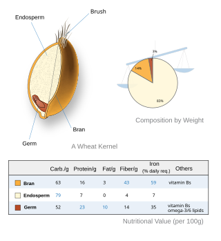 Wheat-kernel nutrition.svg