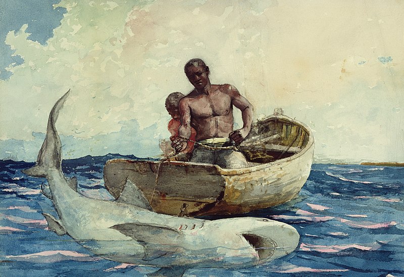 File:Winslow Homer - Shark fishing.jpg