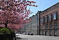 Wuppertal, Grünanlage östlich der Schwebebahnstation Varresbecker Straße, Kirschblüte 2021 (31).jpg