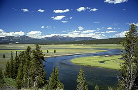 Yellowstone River im Hayden Valley.jpg