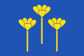 Vlag van Zoetermeer (1965-1991)