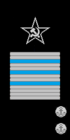 Coronel General