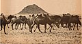 Tumulus Hun en Mongolie, fouillé par Kozlov en 1924