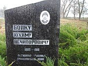 Могила Бойка Ю.Н.- учасник громадянської війни, с.ЛЮБИМІВКА, на кладовищі.jpg